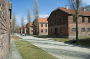 Auschwitz-Birkenau