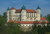 Zamek w Nowym Wi�niczu