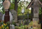 Cmentarz Zasłużonych na Pęksowym Brzyzku zdjecie