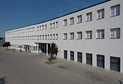 zdjecie
