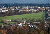 zdjecie